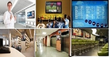 small portfolio4